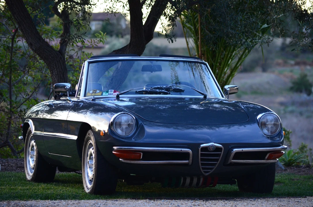 1969 Alfa Romeo Series 1 - Image 13 of 31