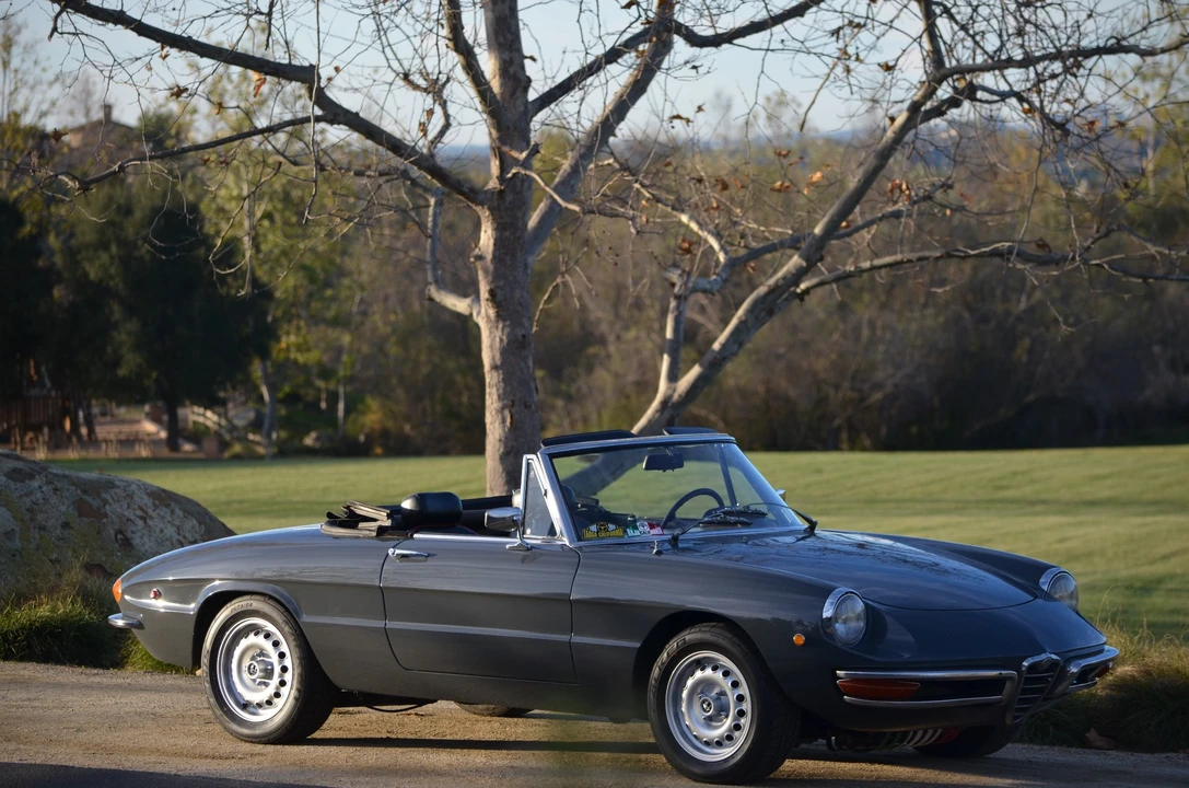1969 Alfa Romeo Series 1 - Image 25 of 31