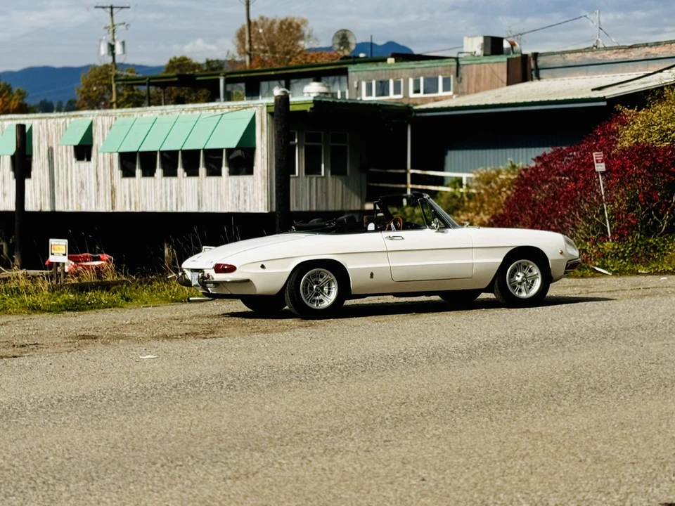 1969 Alfa Romeo Series 1 - Image 17 of 31