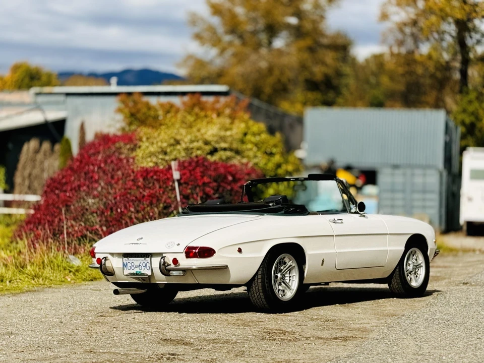 1969 Alfa Romeo Series 1 - Image 18 of 31