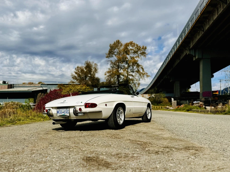 1969 Alfa Romeo Series 1 - Image 30 of 31