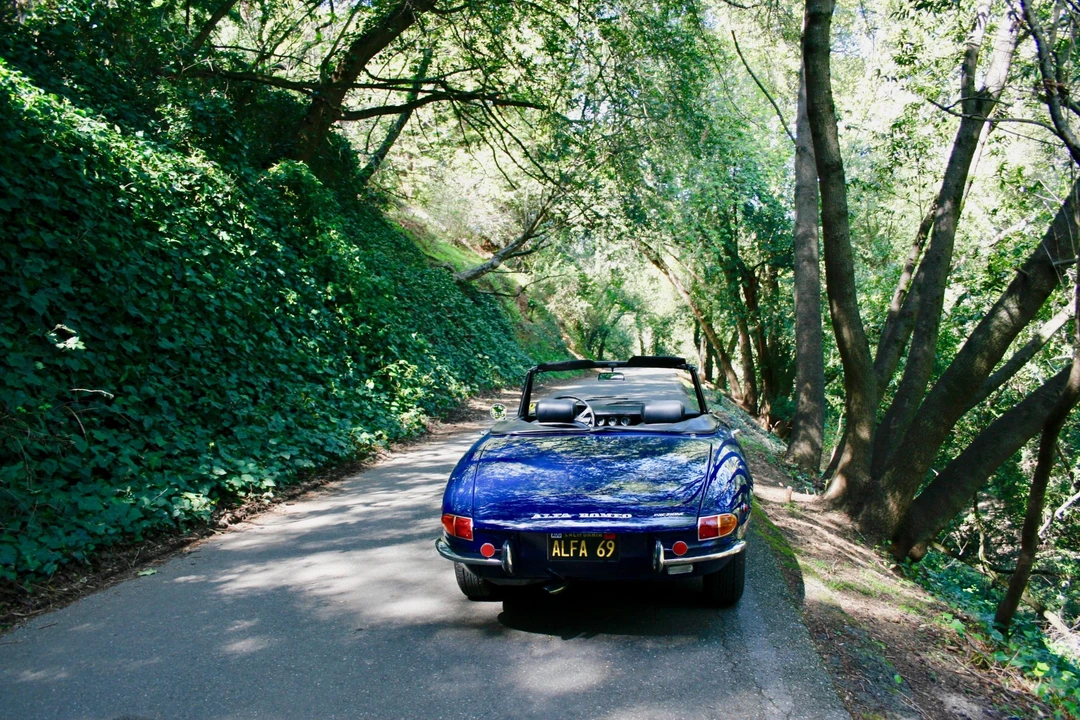 1969 Alfa Romeo Series 1 - Image 19 of 31