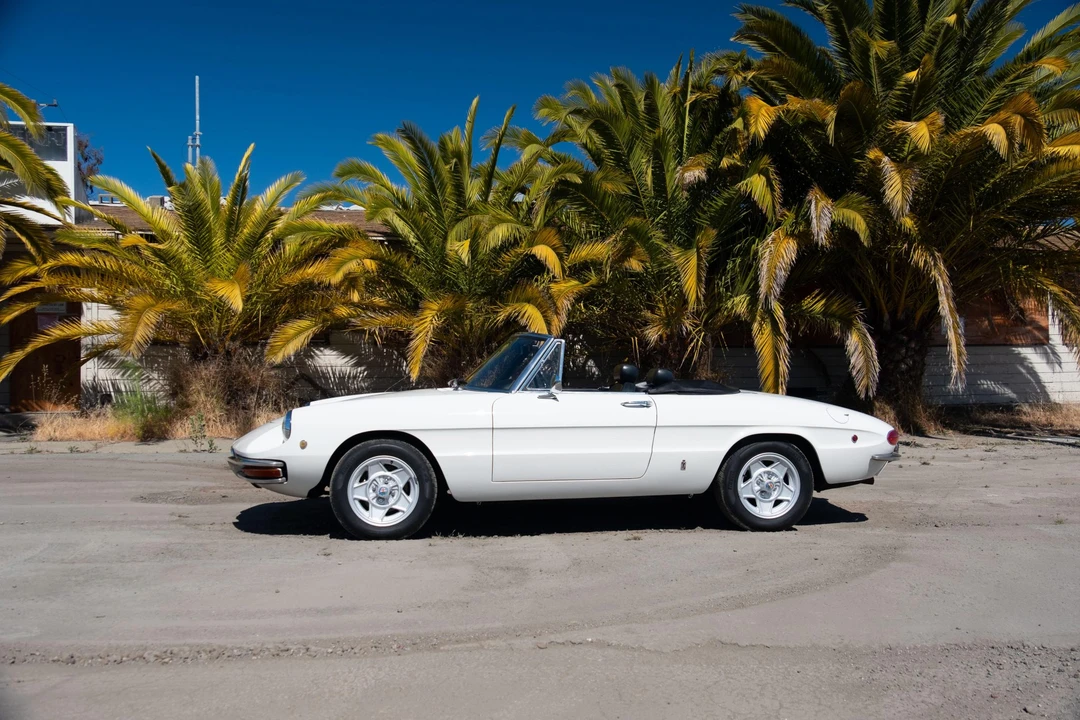 1969 Alfa Romeo Series 1 - Image 9 of 31