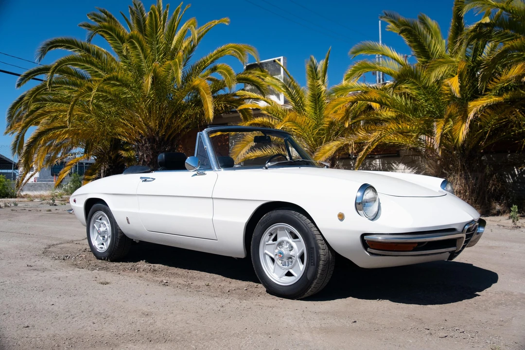1969 Alfa Romeo Series 1 - Image 2 of 31