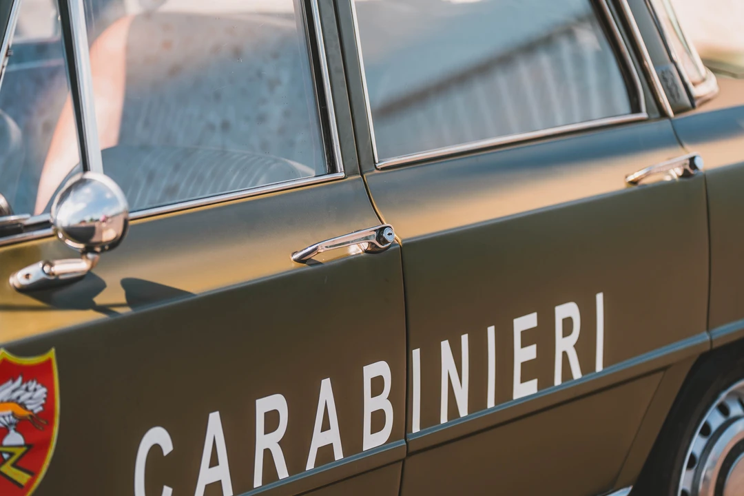 1969 Alfa Romeo 105/115 Series - Image 12 of 31