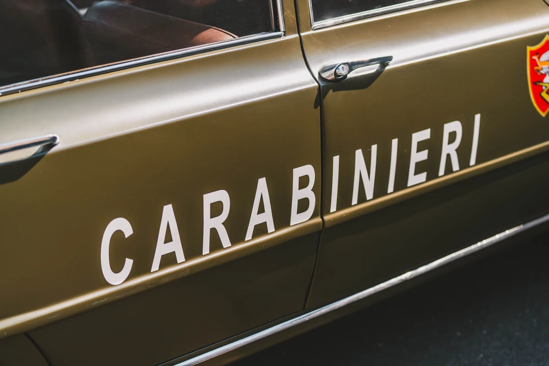 1969 Alfa Romeo 105/115 Series - Image 22 of 31