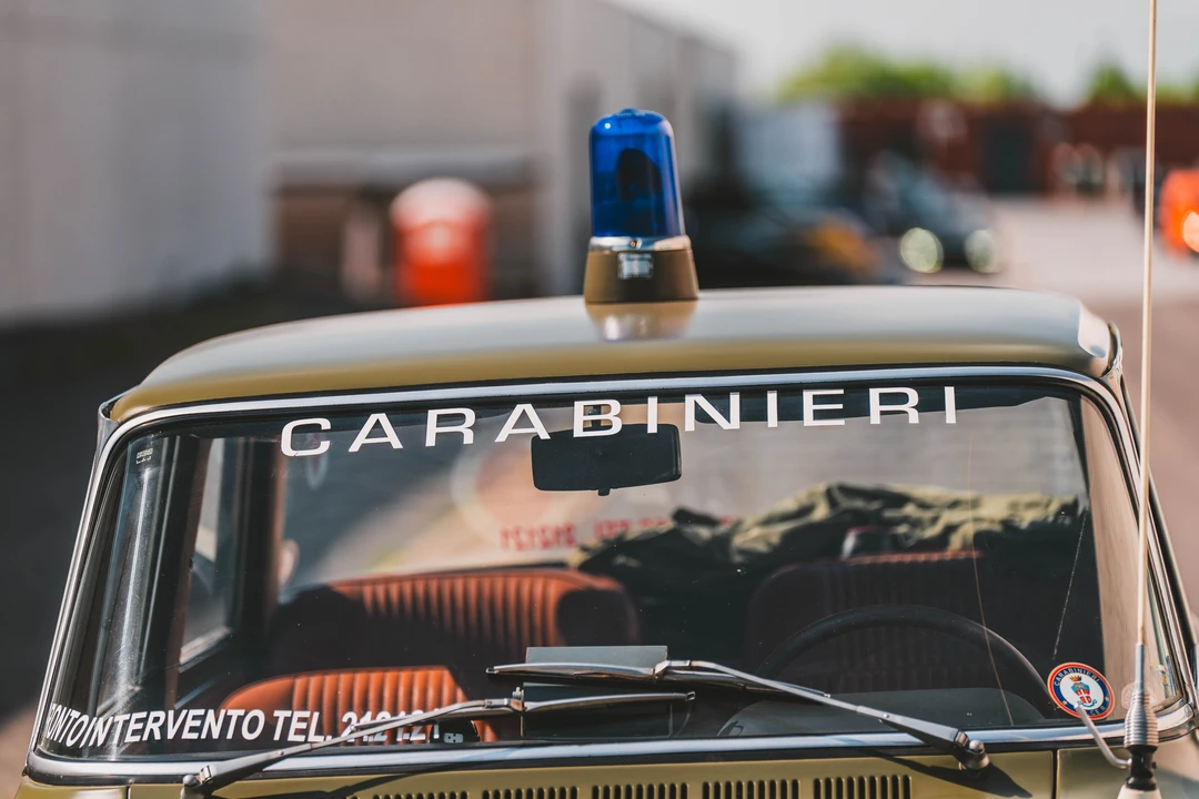 1969 Alfa Romeo 105/115 Series - Image 23 of 31