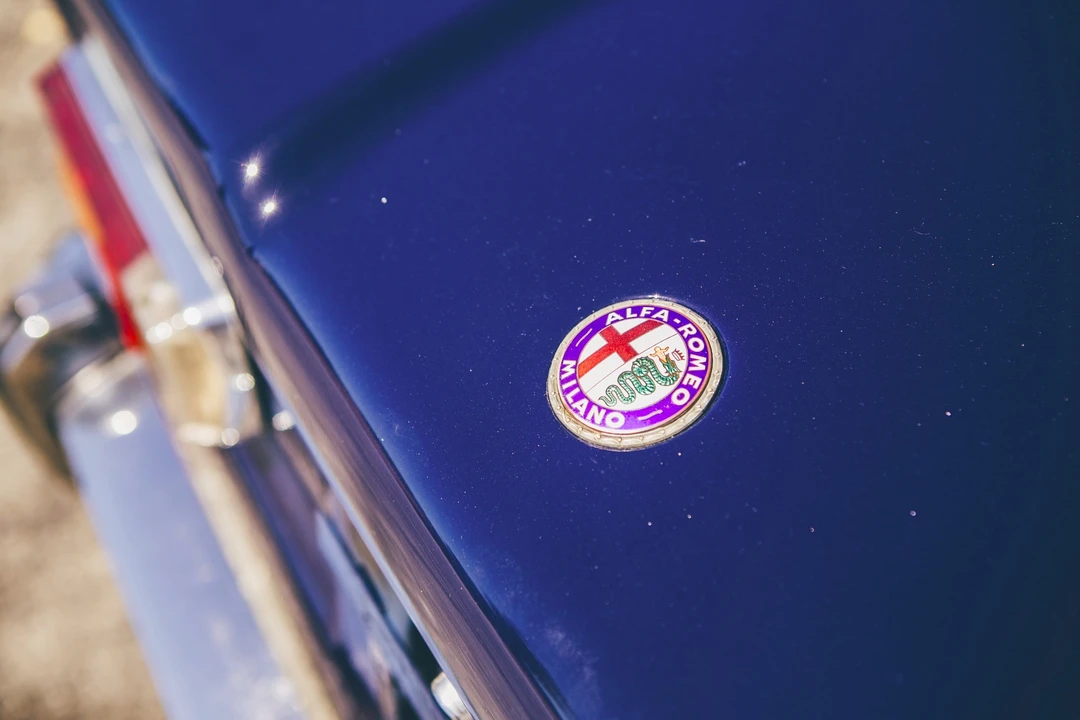 1969 Alfa Romeo 105/115 Series - Image 14 of 31
