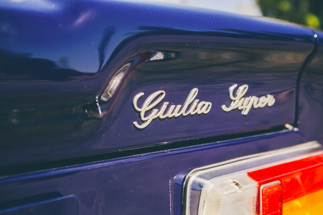 1969 Alfa Romeo 105/115 Series - Image 13 of 31