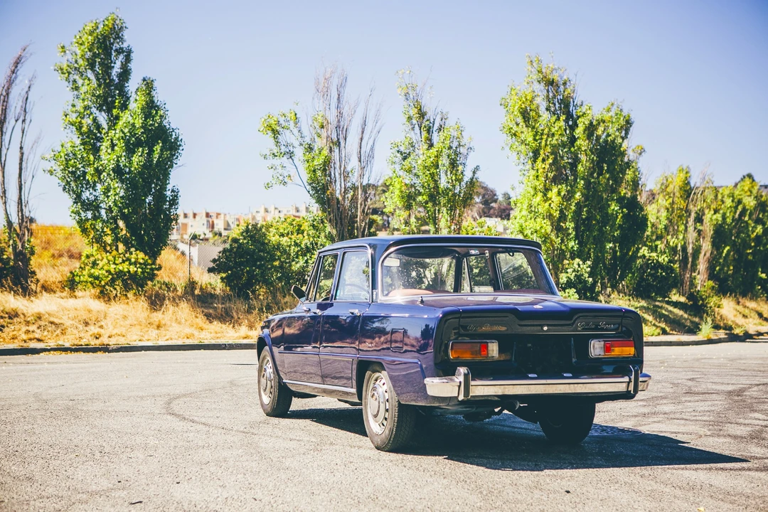 1969 Alfa Romeo 105/115 Series - Image 4 of 31