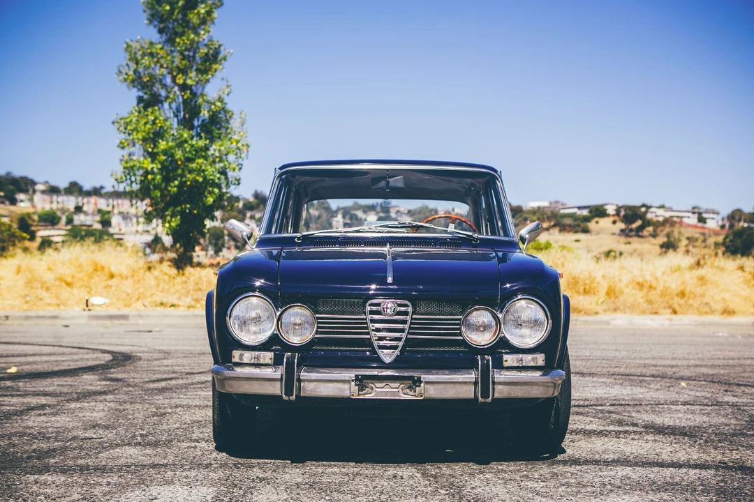 1969 Alfa Romeo 105/115 Series - Image 3 of 31
