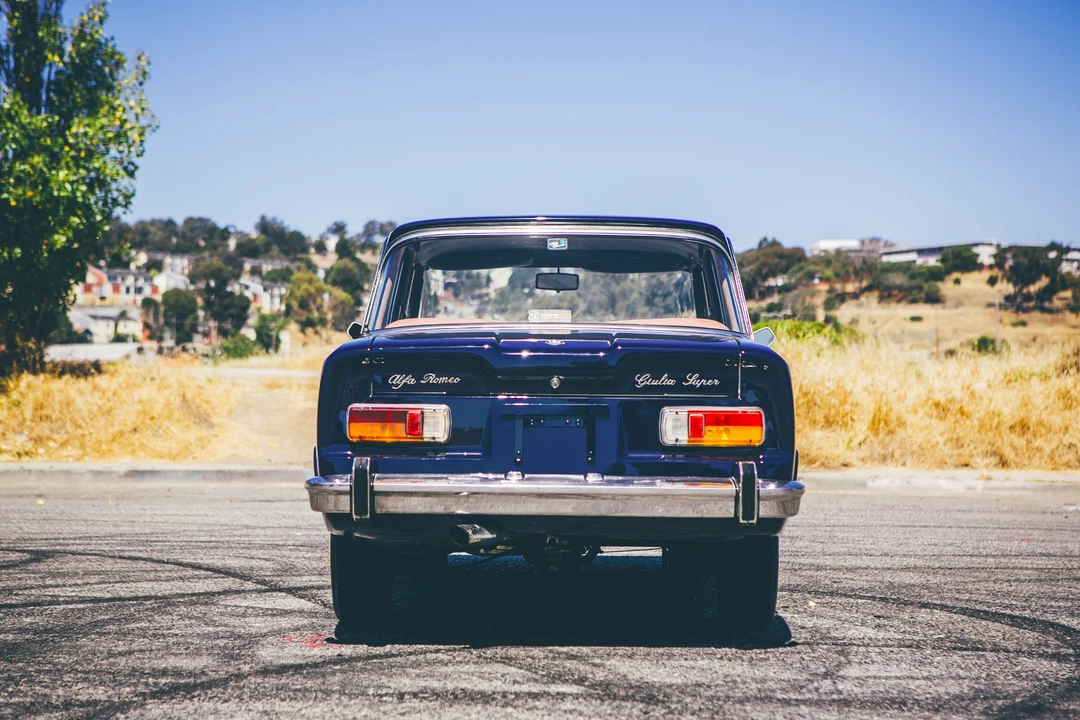 1969 Alfa Romeo 105/115 Series - Image 2 of 31