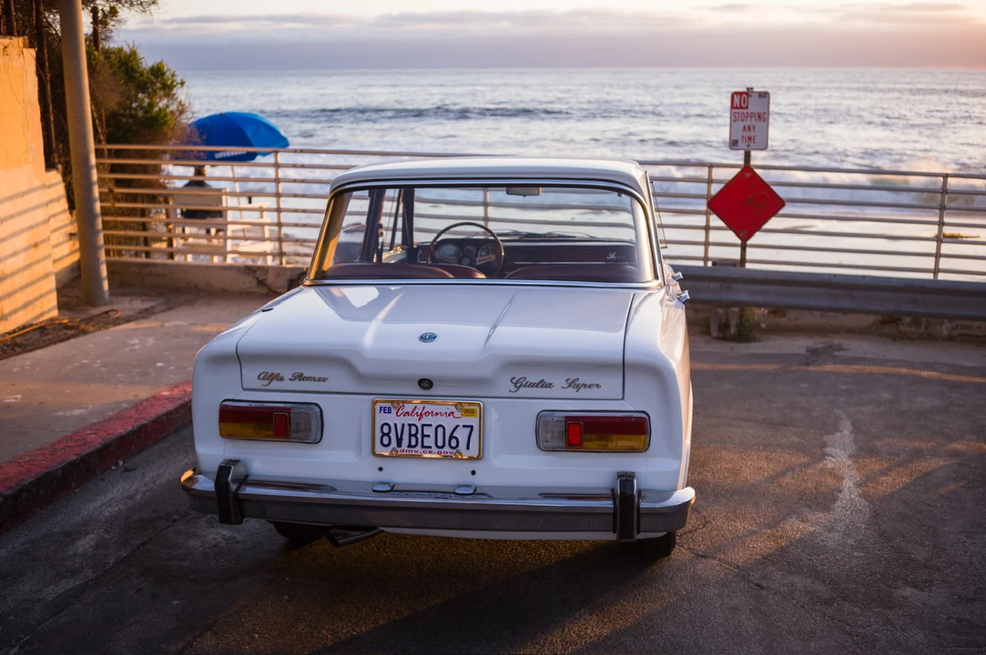 1969 Alfa Romeo 105/115 Series - Image 14 of 31