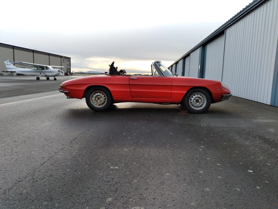1969 Alfa Romeo Series 1 - Image 7 of 31