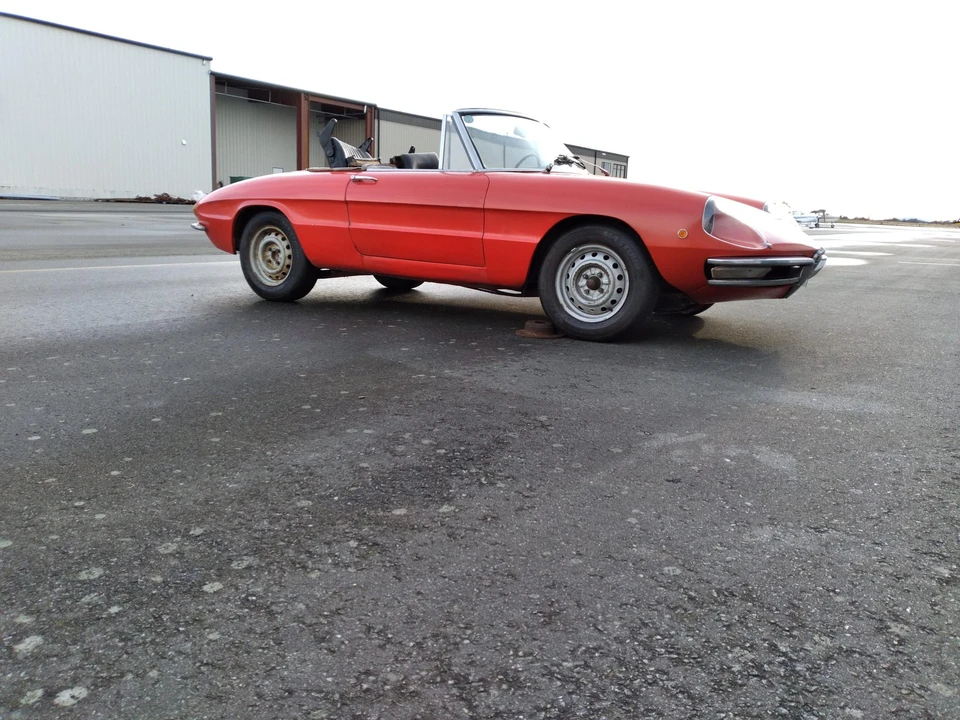 1969 Alfa Romeo Series 1 - Image 8 of 31