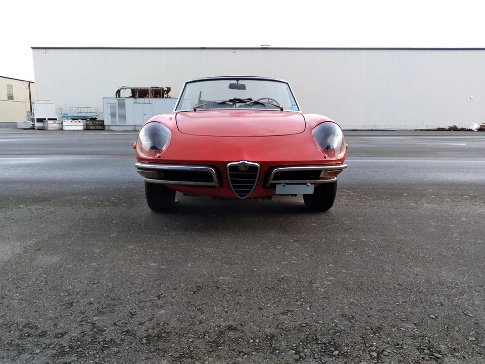 1969 Alfa Romeo Series 1 - Image 9 of 31