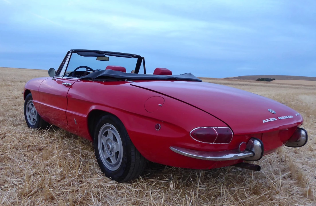 1969 Alfa Romeo Series 1 - Image 8 of 31