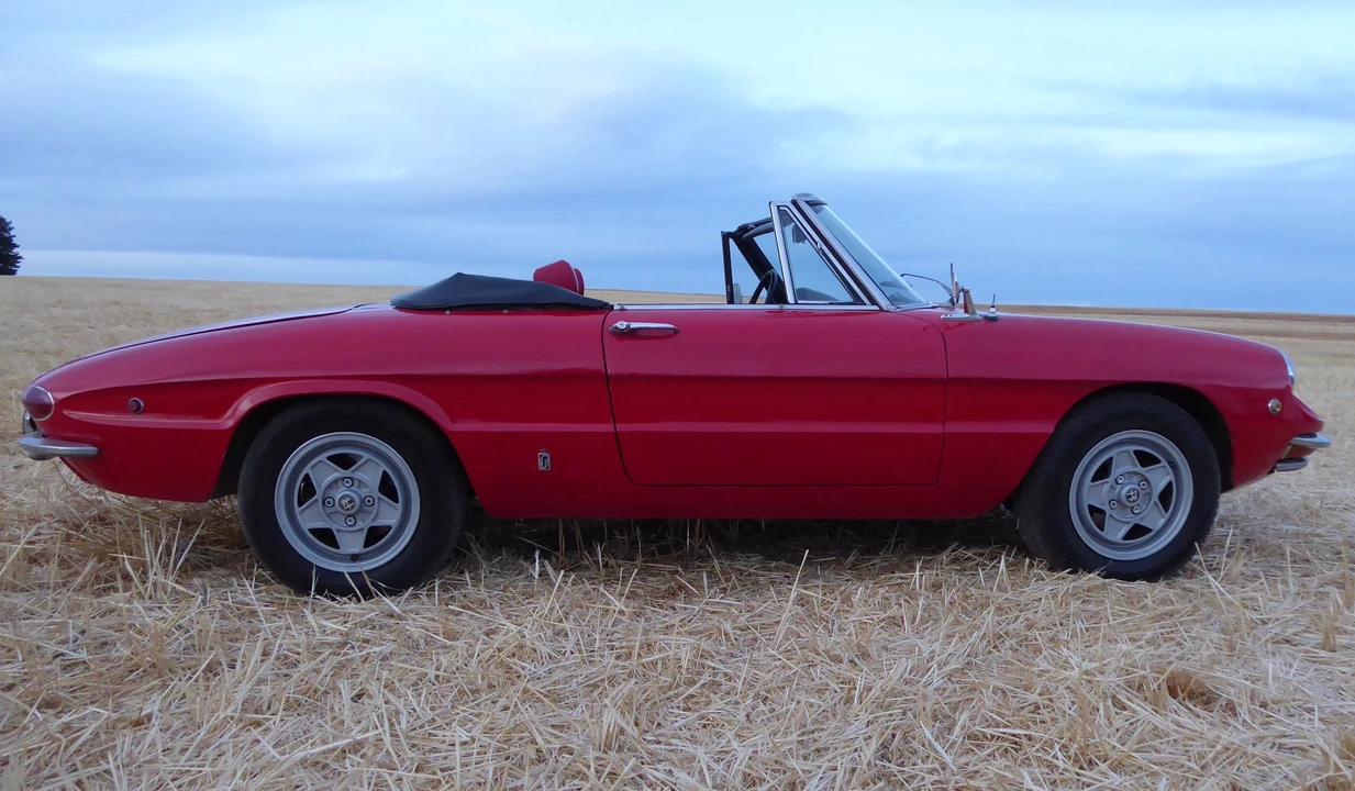 1969 Alfa Romeo Series 1 - Image 14 of 31