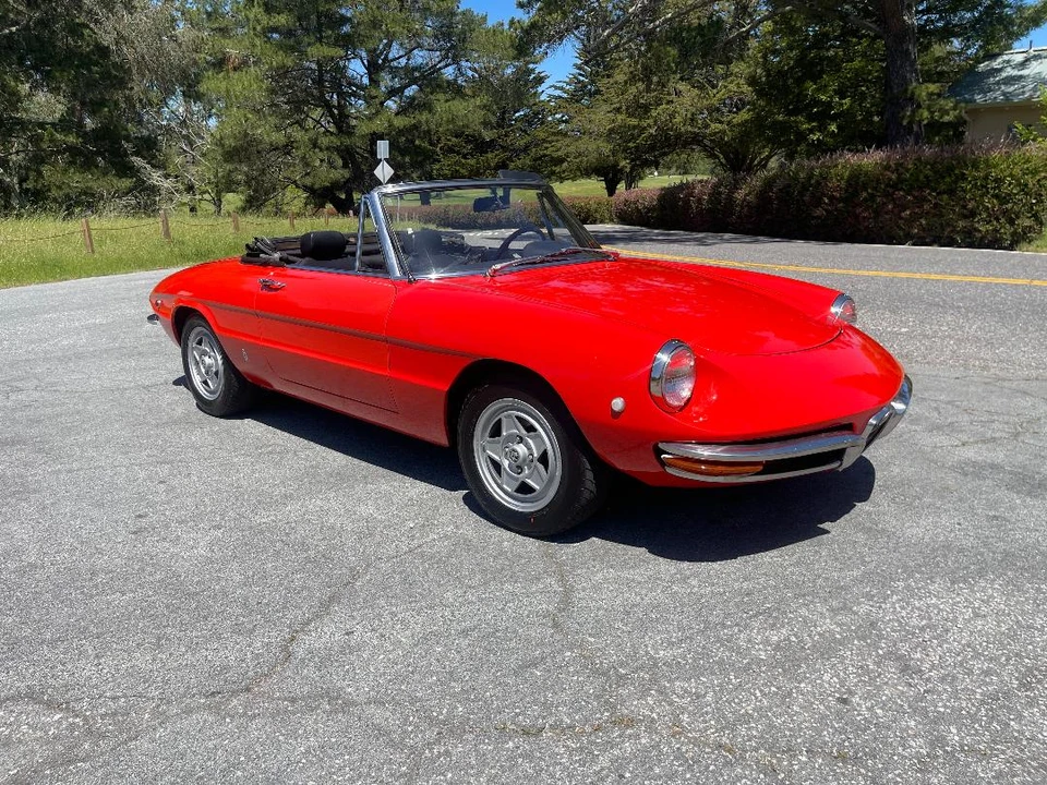 1969 Alfa Romeo Series 1 - Image 12 of 31