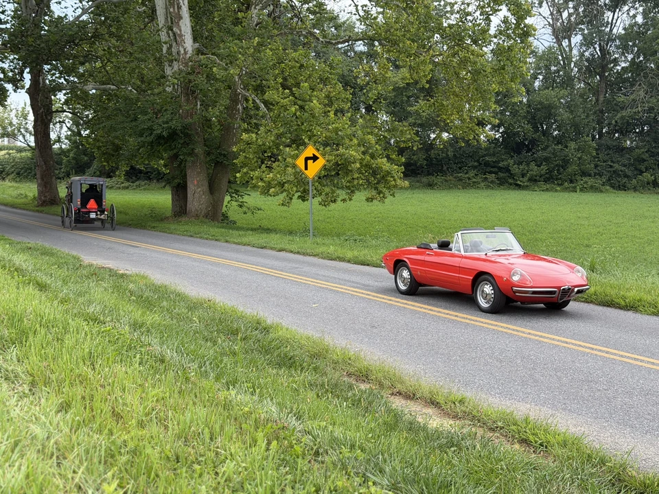 1969 Alfa Romeo Series 1 - Image 31 of 31