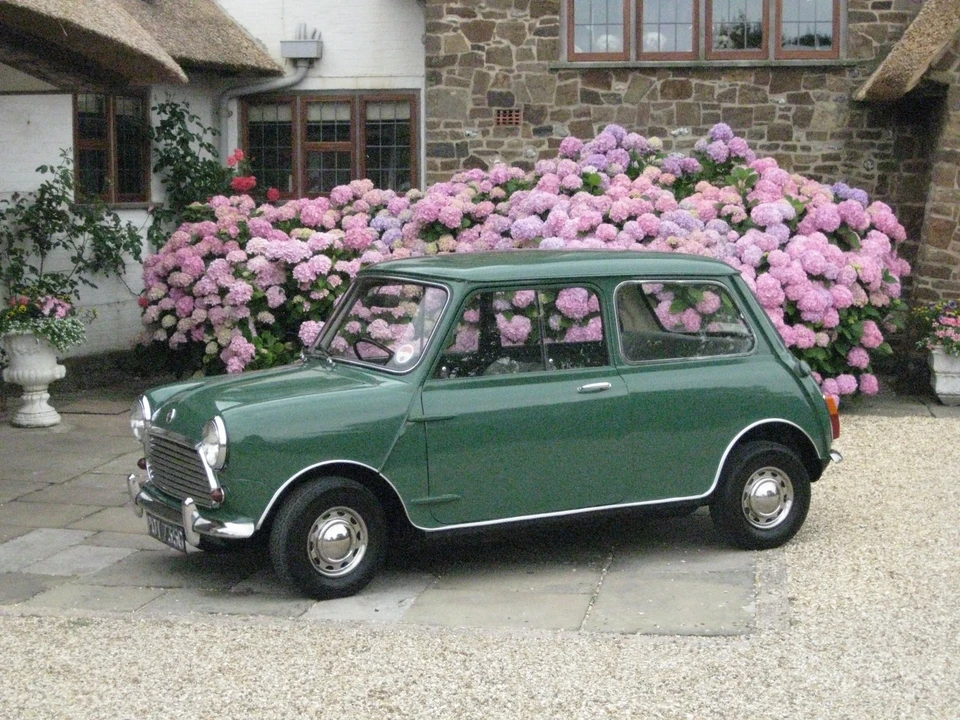 1969 Austin Mini - Image 6 of 6