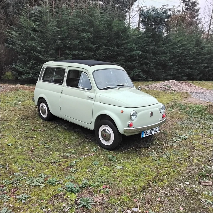 1969 Autobianchi Bianchina - Image 10 of 31