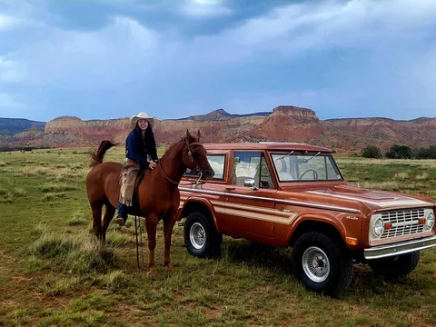1969 Ford Bronco