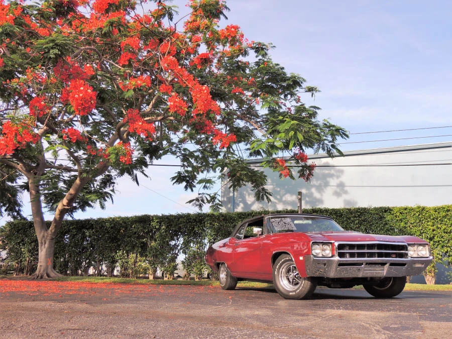 1969 Buick Gran Sport - Image 8 of 12