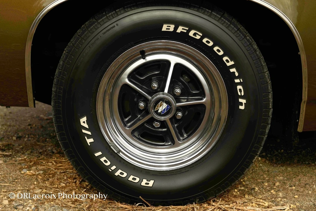 1969 Buick Skylark 3rd Gen - Image 20 of 21
