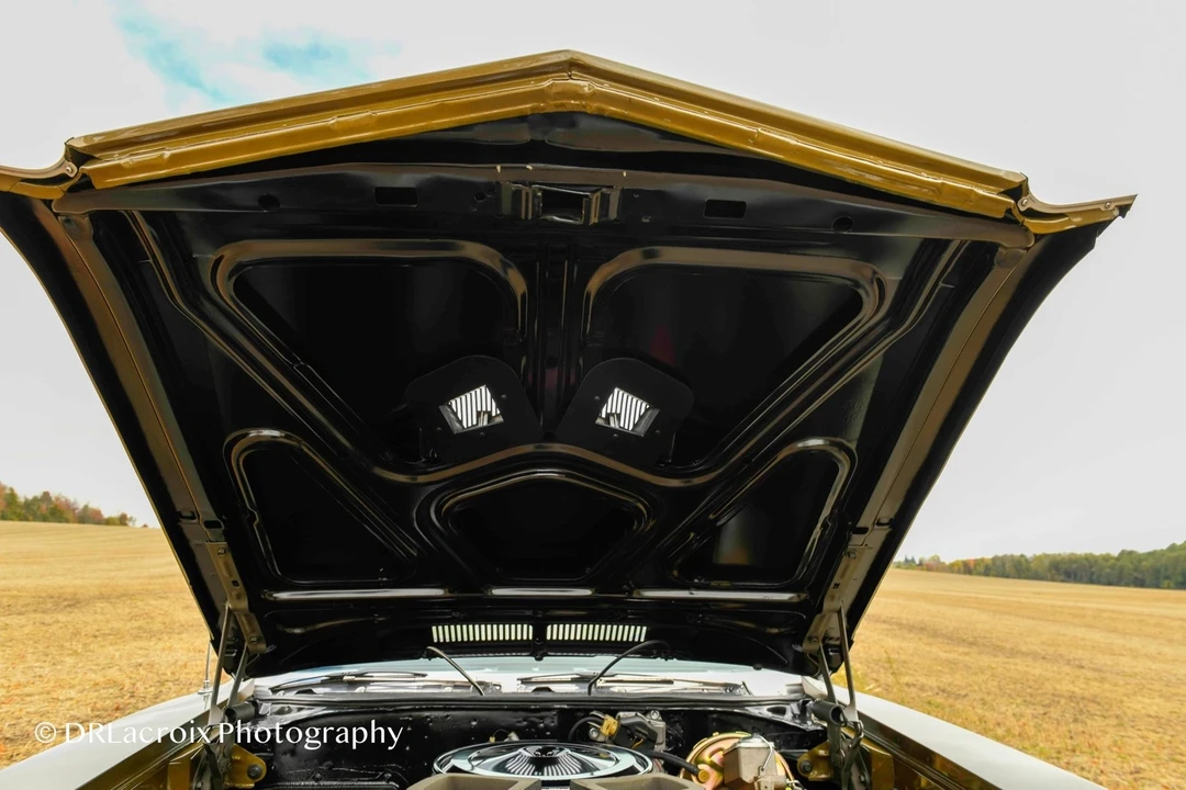 1969 Buick Skylark 3rd Gen - Image 15 of 21