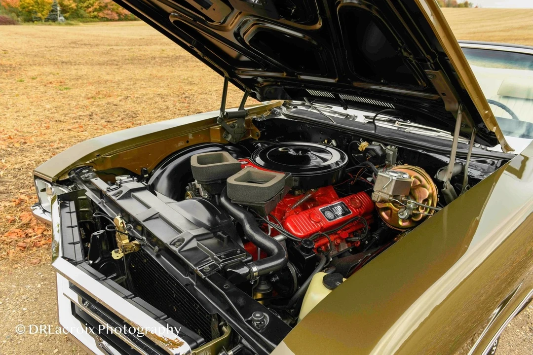 1969 Buick Skylark 3rd Gen - Image 14 of 21