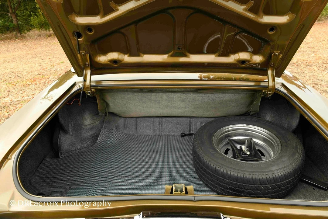 1969 Buick Skylark 3rd Gen - Image 19 of 21