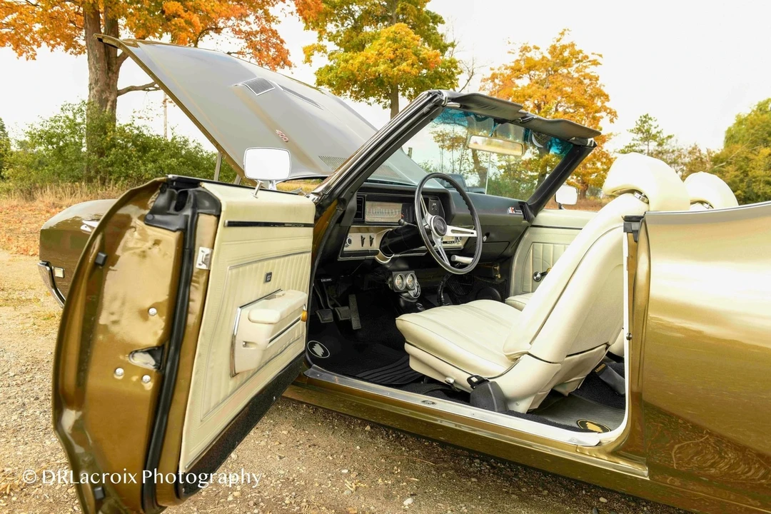 1969 Buick Skylark 3rd Gen - Image 10 of 21