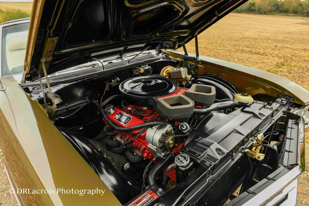 1969 Buick Skylark 3rd Gen - Image 16 of 21