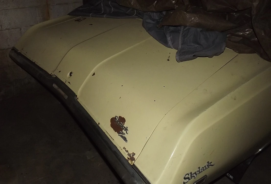 1969 Buick Skylark 3rd Gen - Image 4 of 27