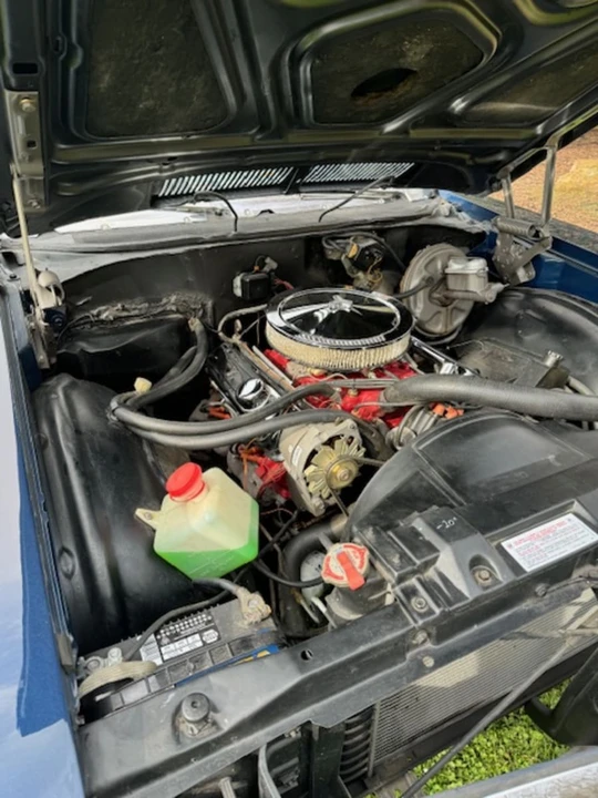 1969 Buick Skylark 3rd Gen - Image 11 of 13