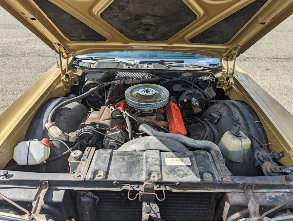 1969 Buick Wildcat - Image 10 of 16