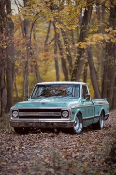 1969 Chevrolet C10 1/2 Ton