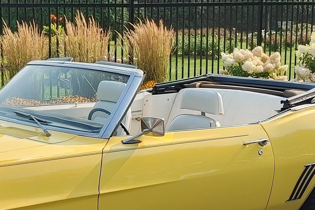 1969 Chevrolet Camaro 1st Gen - Image 16 of 31