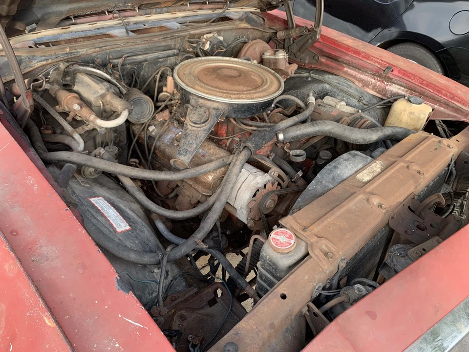 1969 Chevrolet Chevelle SS 2nd Gen - Image 31 of 31