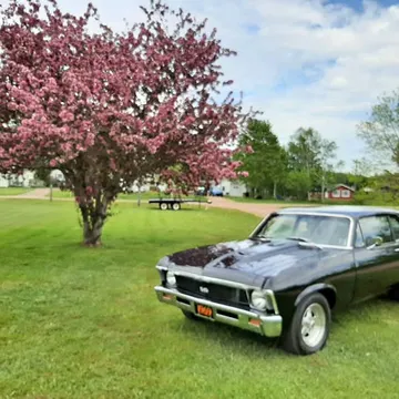 1969 Chevrolet Nova SS