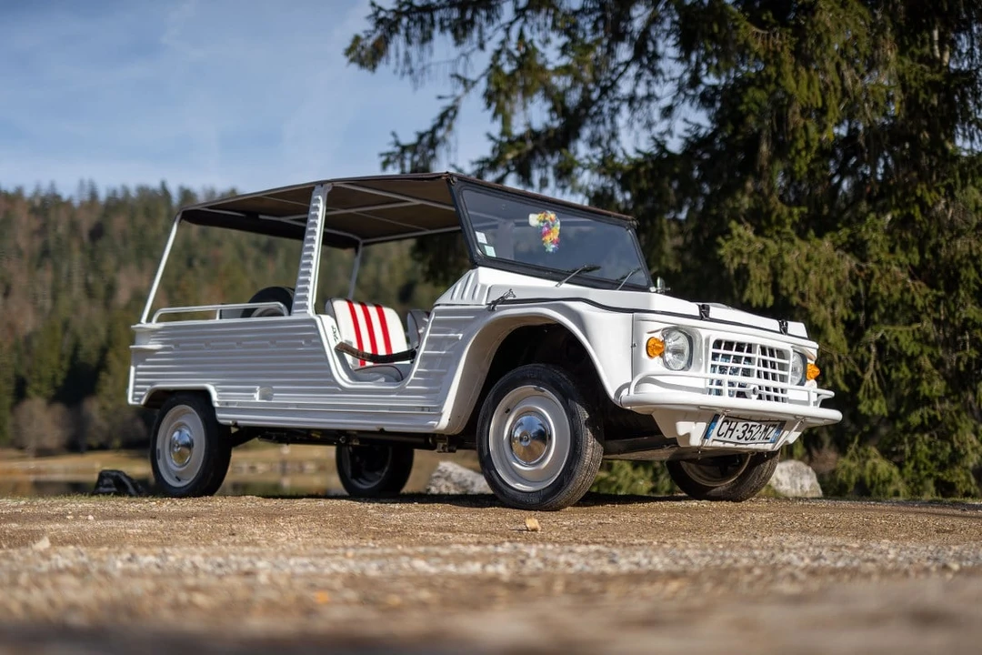 1969 Citroen Mehari - Image 10 of 30