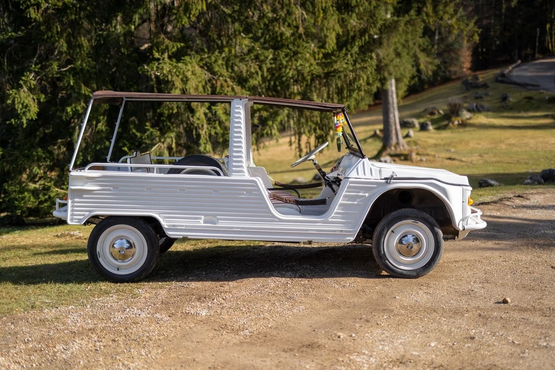 1969 Citroen Mehari - Image 4 of 30