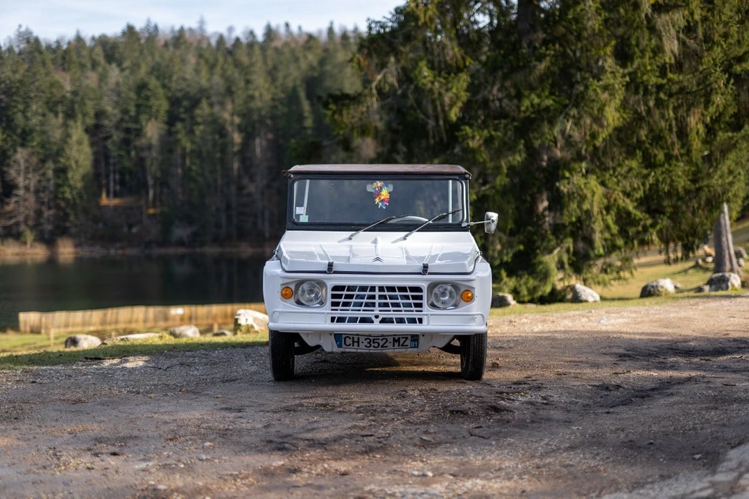 1969 Citroen Mehari - Image 3 of 30
