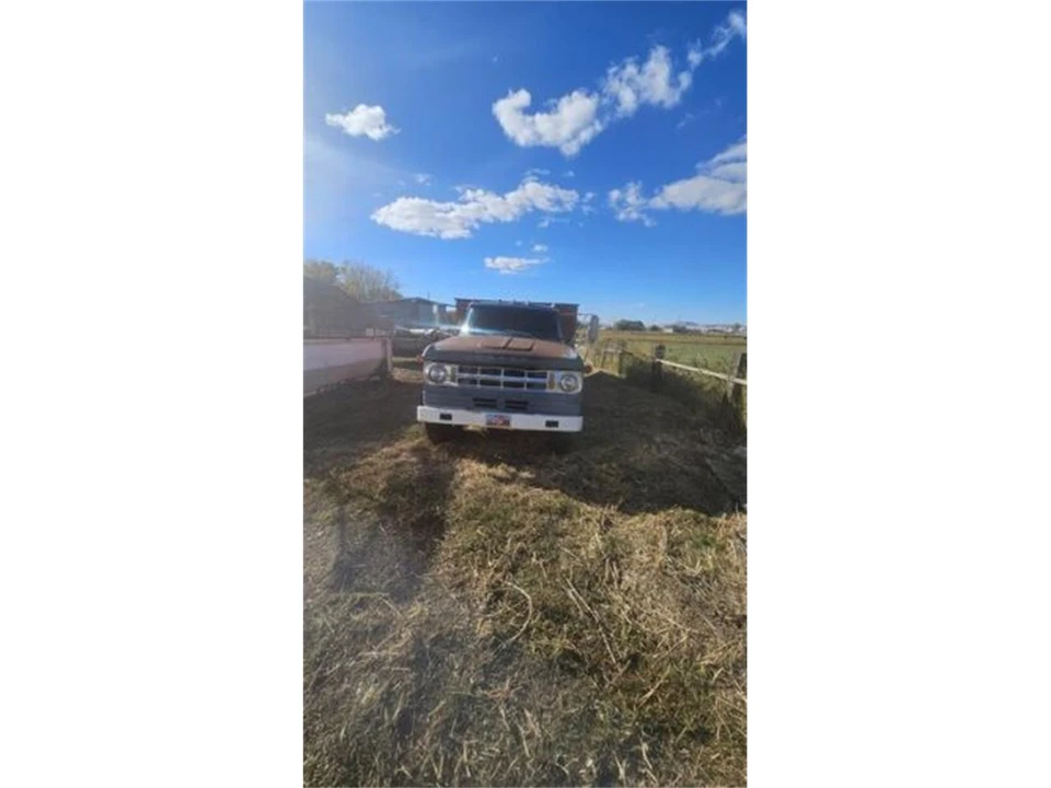 1969 Dodge D Series 2nd Gen - Image 5 of 6