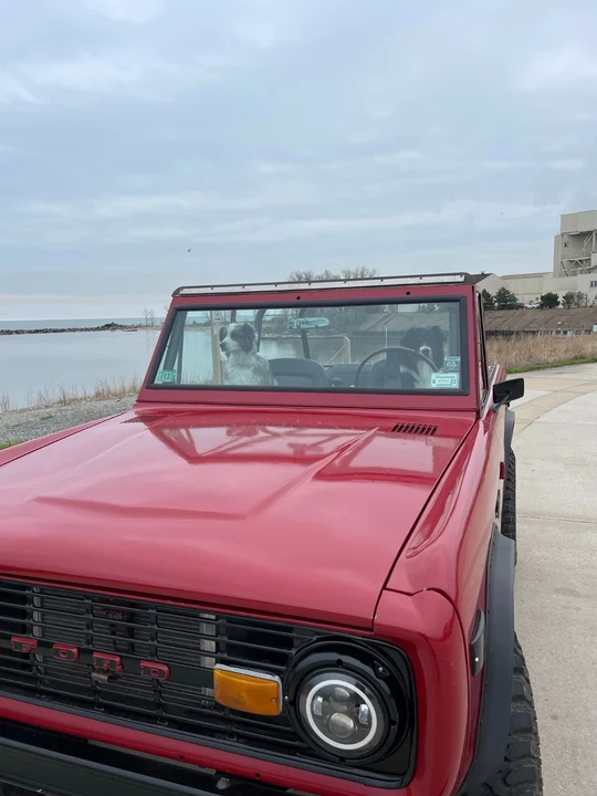 1969 Ford Bronco 1st Gen - Image 7 of 9