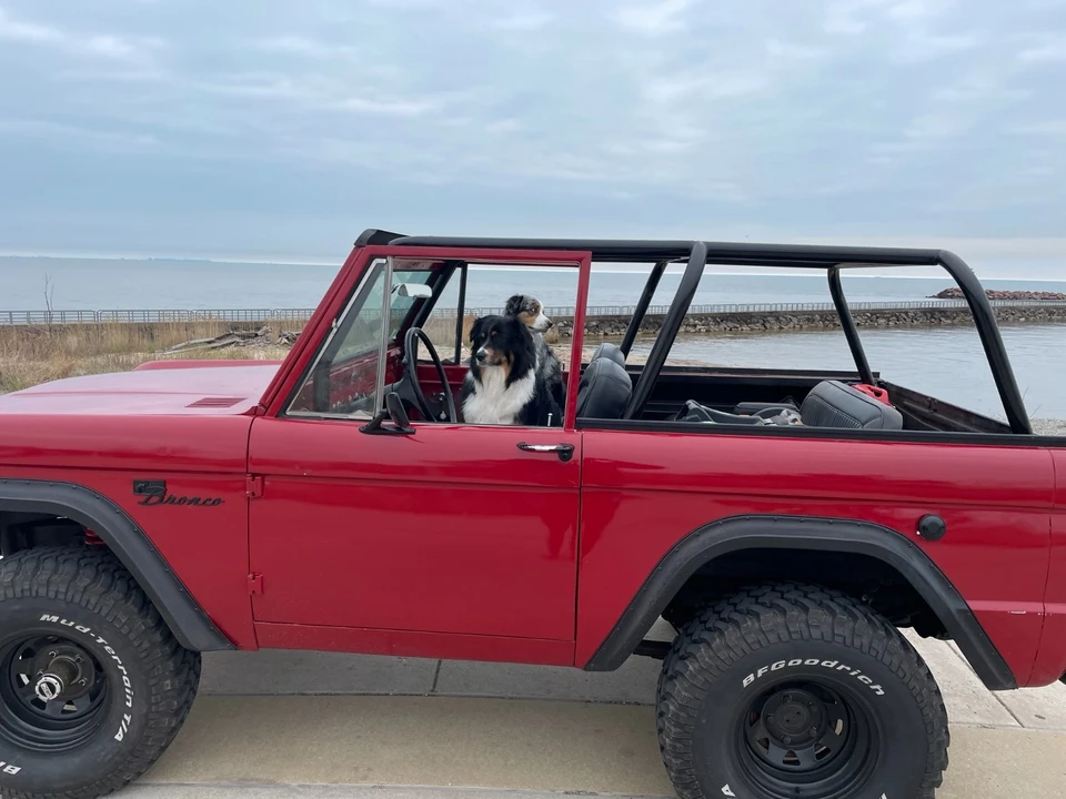 1969 Ford Bronco 1st Gen - Image 9 of 9