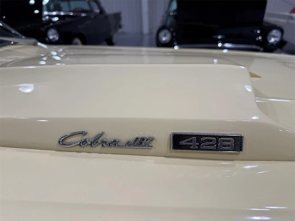 1969 Ford Fairlane 6th Gen - Image 19 of 31