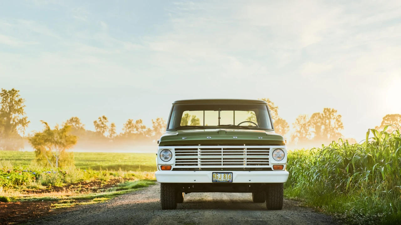 1969 Ford F-Series 5th Gen - Image 12 of 31