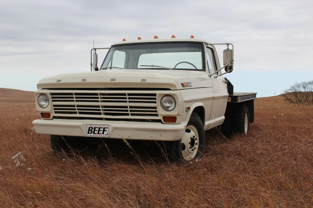 1969 Ford F-Series 5th Gen - Image 11 of 31